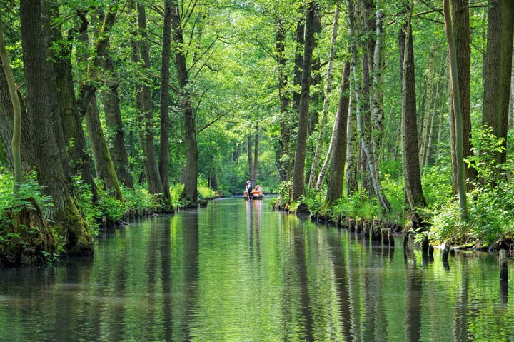 Erkundungstour im Spreewald