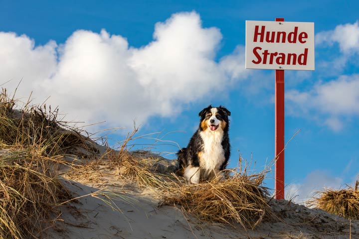 Hundestrand auf Borkum