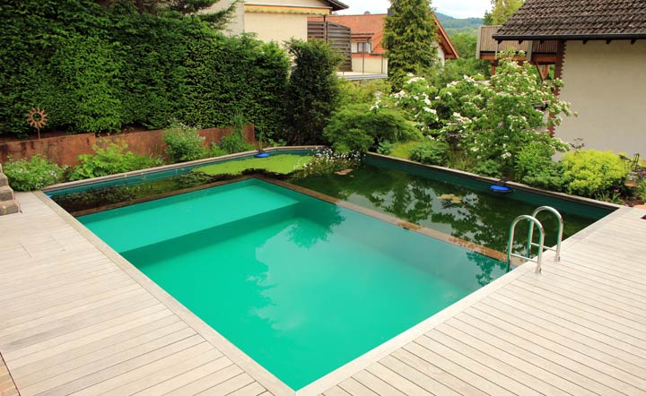 Pool oder Schwimmteich