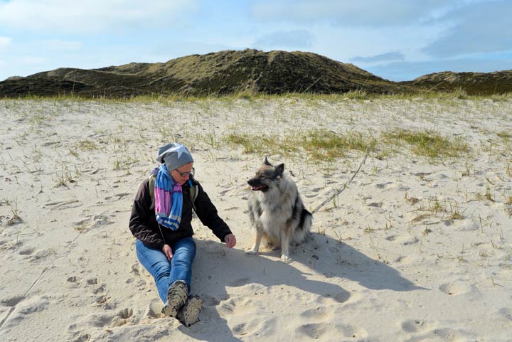 Sylt mit Hund