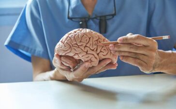 Wendepunkte des Denkens und ständiger Umbau des Gehirns