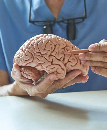 Wendepunkte des Denkens und ständiger Umbau des Gehirns